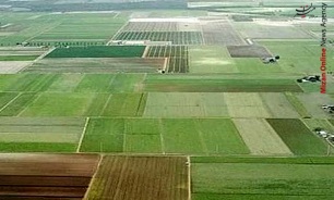 عید ۰۳۱/ شناسایی ۳۰ روستای در معرض آسیب در استان بوشهر