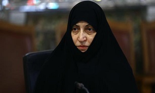 افتخاری:اروپایی‌ها با آمریکا هم اردوگاه هستند