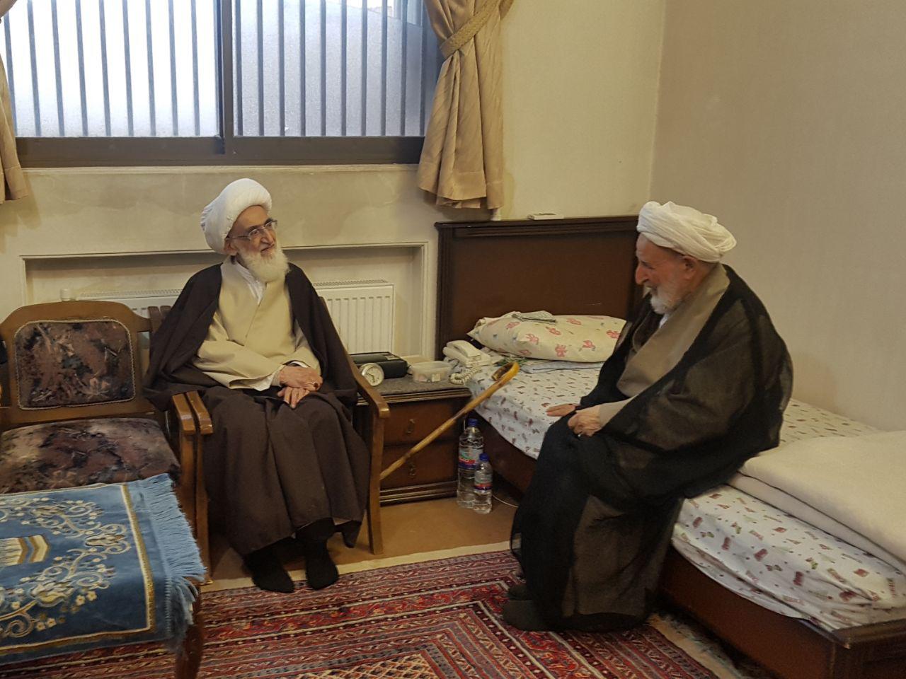 آیات عظام «حسین نوری‌همدانی» و «محمد یزدی» دیدار و گفت‌وگو کردند