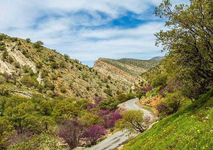 سفری بهاری به تنگهای از جنس ارغوان+تصاویر سفری بهاری به تنگهای از جنس ارغوان+تصاویر