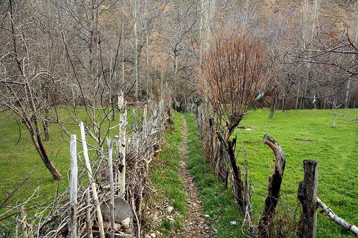 روستای گیلوان مقصدی متفاوت در ایام نوروز+تصاویر روستای گیلوان مقصدی متفاوت در ایام نوروز+تصاویر