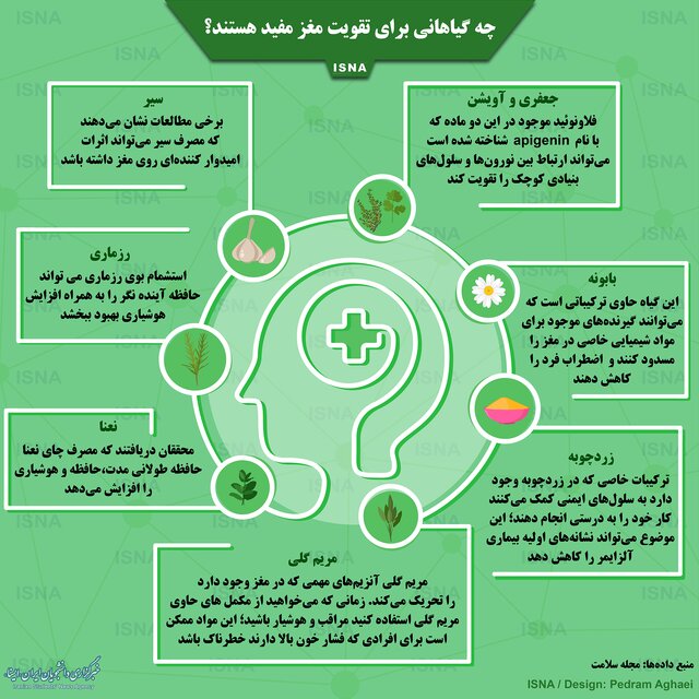 چه گیاهانی برای مغز مفید هستند؟ +اینفوگرافی چه گیاهانی برای مغز مفید هستند؟ +اینفوگرافی