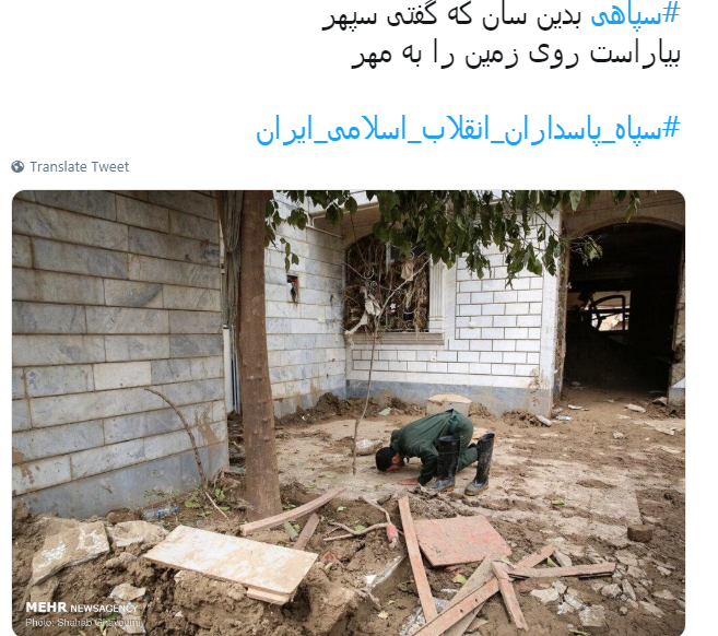 سیل سیل