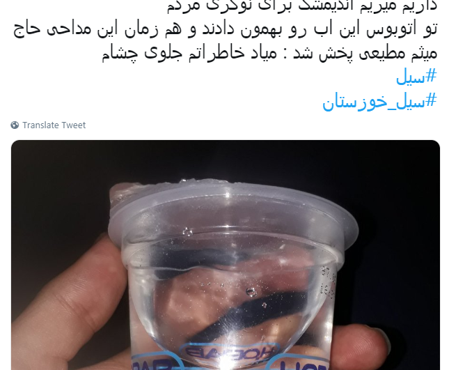 سیل سیل