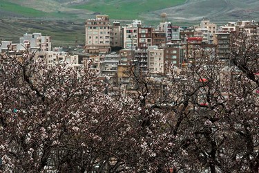 زندگی در معمولان پس از سیل/آبگیری تالاب آق گل بعد از ۲۰ سال/پاکسازی حاشیه میان گذر دریاچه ارومیه/ در حاشیه جلسه هیات دولت/ تالاب بین المللی آذینی