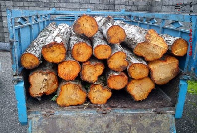دستور مدعی العموم به نیروی انتظامی در خصوص تردد خودروهای حامل چوبهای جنگلی