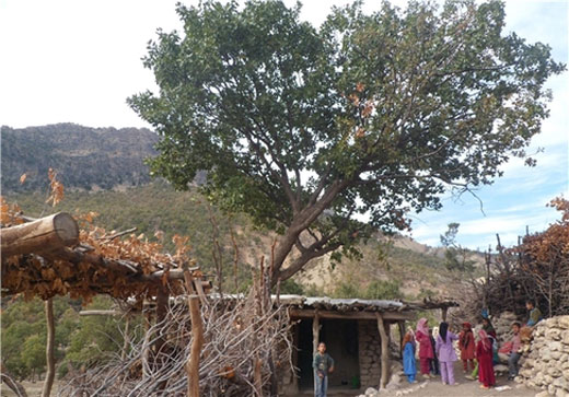 مدرسه ای در ایران با وحشتناک ترین شرایط + عکس