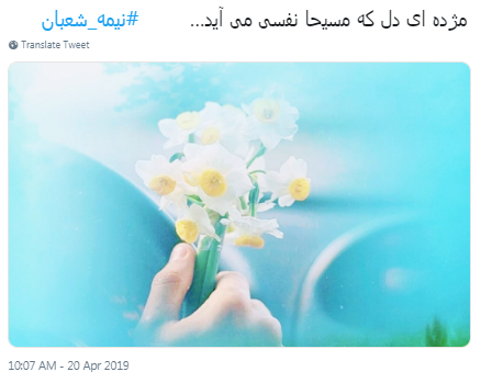 واکنش کاربران فضای مجازی درباره نیمه شعبان واکنش کاربران فضای مجازی درباره نیمه شعبان