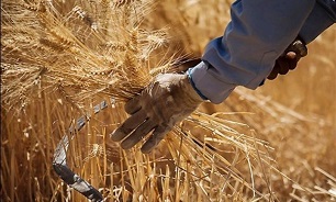 کیخا در گفت‌و‌گو با میزان: