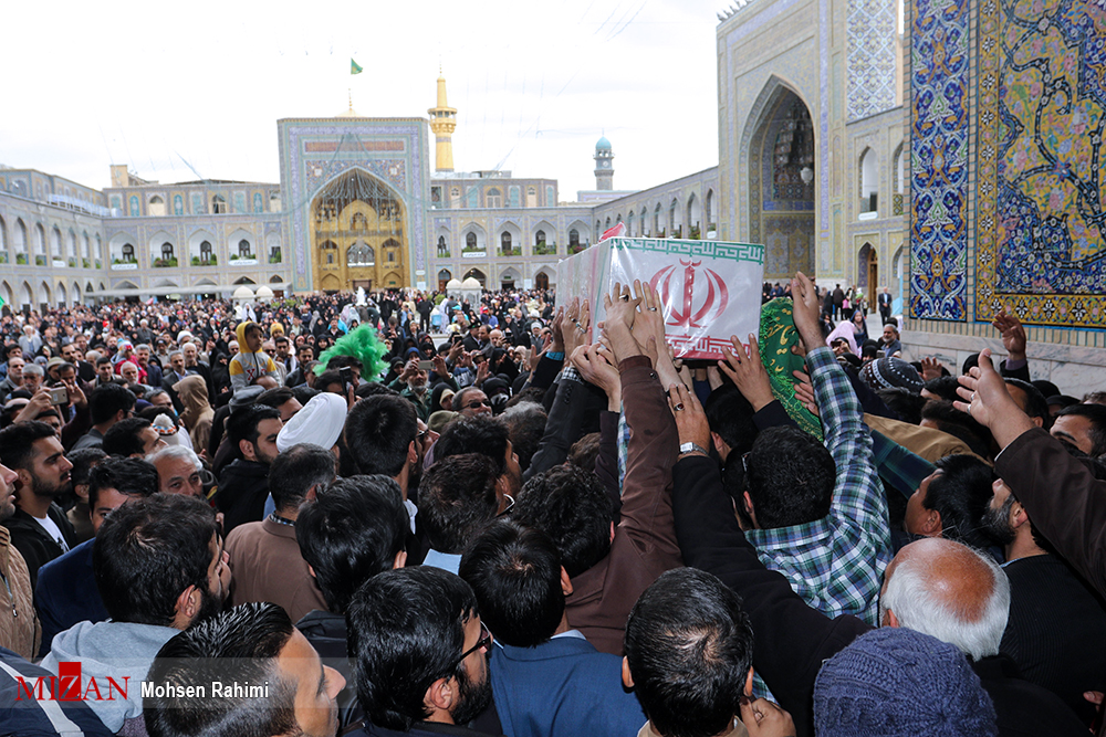 مجید قربانخانی مجید قربانخانی