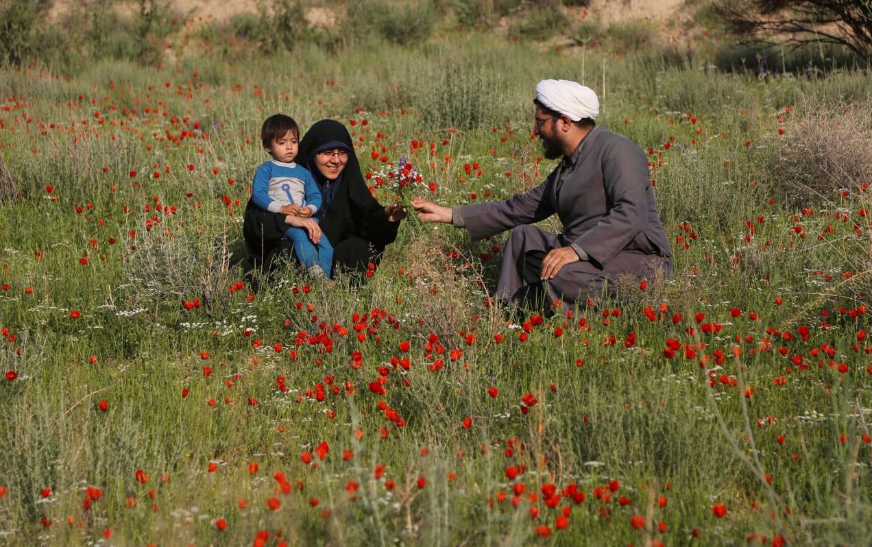 دشت شقایق تجنود در بیرجند+ تصاویر دشت شقایق تجنود در بیرجند+ تصاویر