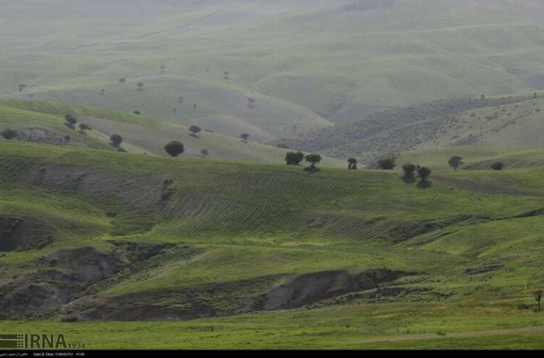 حال و هوای اردیبهشت در دشت شقایق +تصاویر حال و هوای اردیبهشت در دشت شقایق +تصاویر