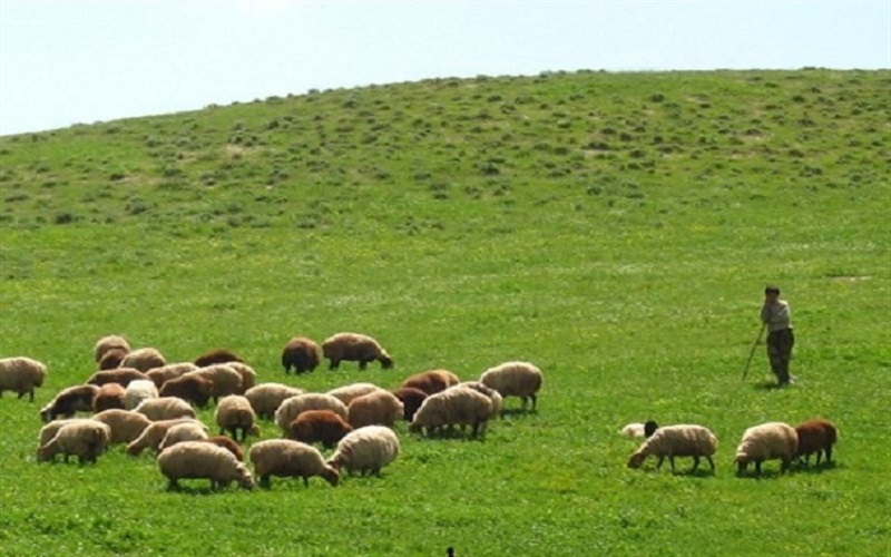 افزایش