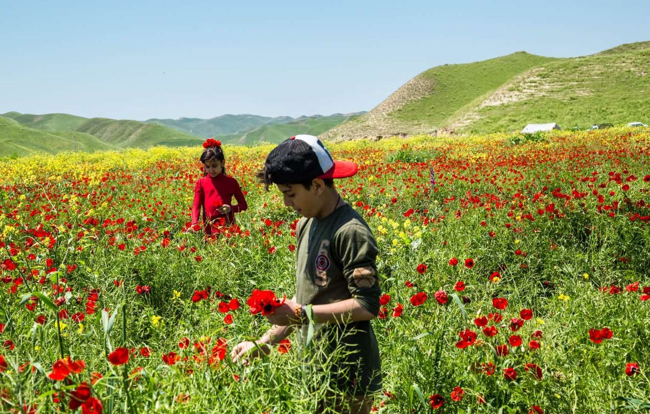 طبیعت بهاری استان گلستان طبیعت بهاری استان گلستان