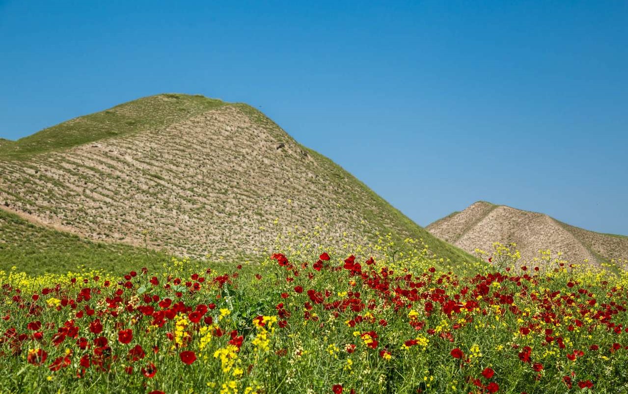 طبیعت بهاری استان گلستان طبیعت بهاری استان گلستان