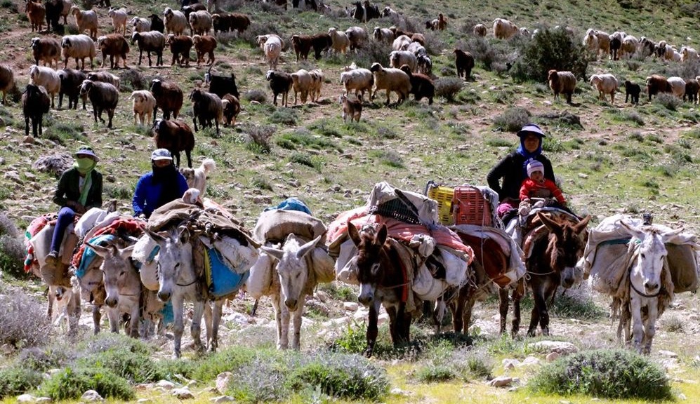 زندگی پس از سیل/ معلمی در دورترین و محرومترین روستای گیلان/ افزایش آب سد بارزو – شیروان زندگی پس از سیل/ معلمی در دورترین و محرومترین روستای گیلان/ افزایش آب سد بارزو – شیروان