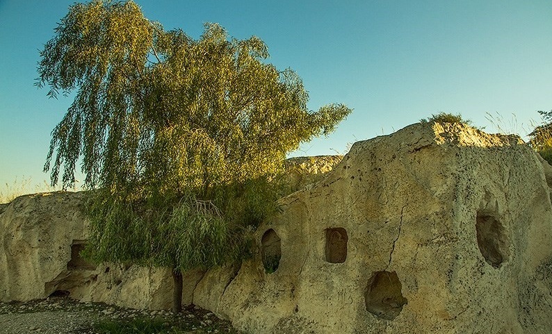 نشاء (کشت برنج) در گیلان/ بازی در کوچههای محله/ ترتیل خوانی درمصلای اردبیل نشاء (کشت برنج) در گیلان/ بازی در کوچههای محله/ ترتیل خوانی درمصلای اردبیل