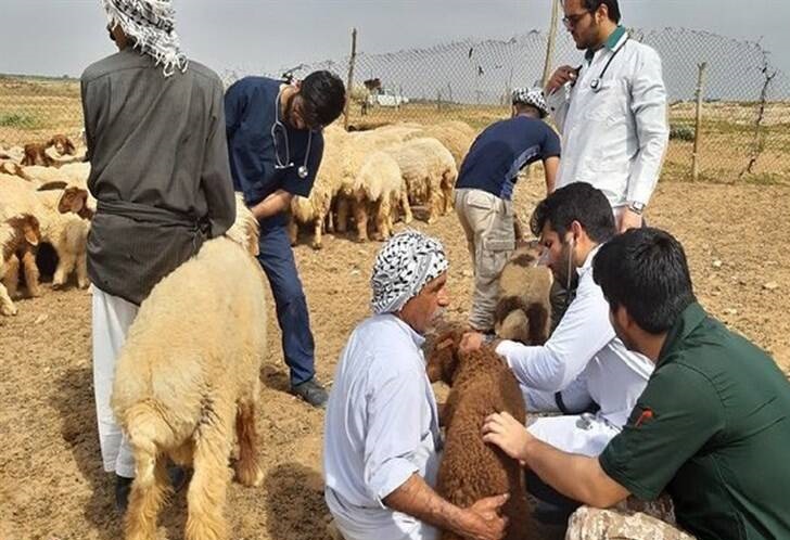 دانشجویان بسیجی در مناطق سیل زده دانشجویان بسیجی در مناطق سیل زده