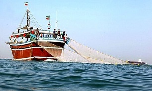 فرماندار کنارک