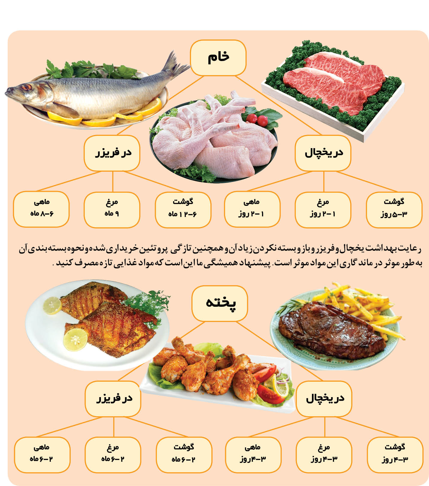 مدت زمان مواد غذایی در فریزر چقدر است؟ مدت زمان مواد غذایی در فریزر چقدر است؟