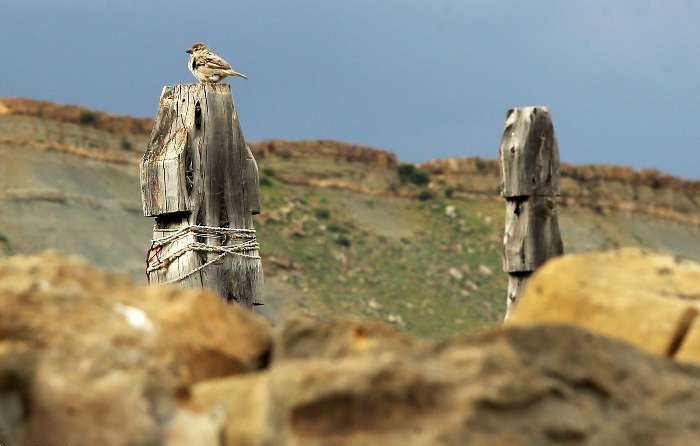 قبرستان قبرستان روستای «باغلق» 