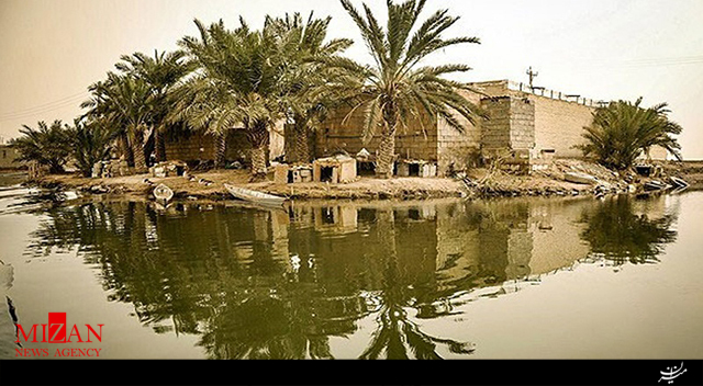 ۸۰ گونه ماهی مردابی و دریایی در تالاب شادگان
