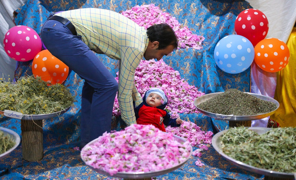 گل دومین جشنواره فرهنگی گلمحمدی استان یزد