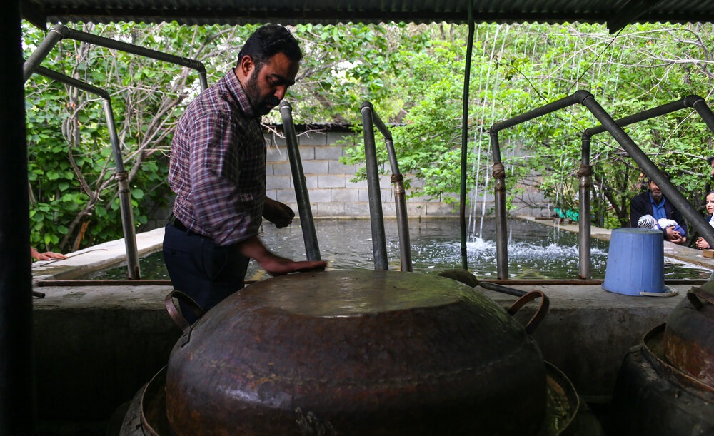 گل دومین جشنواره فرهنگی گلمحمدی استان یزد