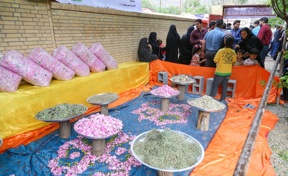 گل دومین جشنواره فرهنگی گلمحمدی استان یزد