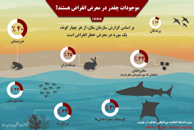 اینفوگرافی موجودات چقدر در معرض انقراض هستند؟