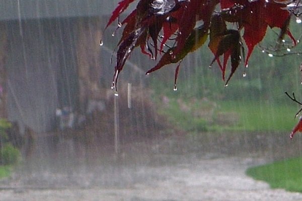بارندگی در اغلب نقاط کشور/ ساماندهی کودکان کار و خیابان تهران تا پایان سال/۱۹۹۱۱ مورد دوقلوزایی در سال گذشته رخ داد