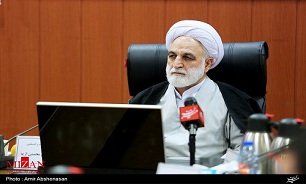 رسیدگی به پرونده بابک زنجانی در چارچوب قوانین به نفع همه است/ نه متهم و نه هیچ فردی حق توهین به دیگری را ندارد/ با توهین‌ها ممکن است پرونده‌های جدید تشکیل شود
