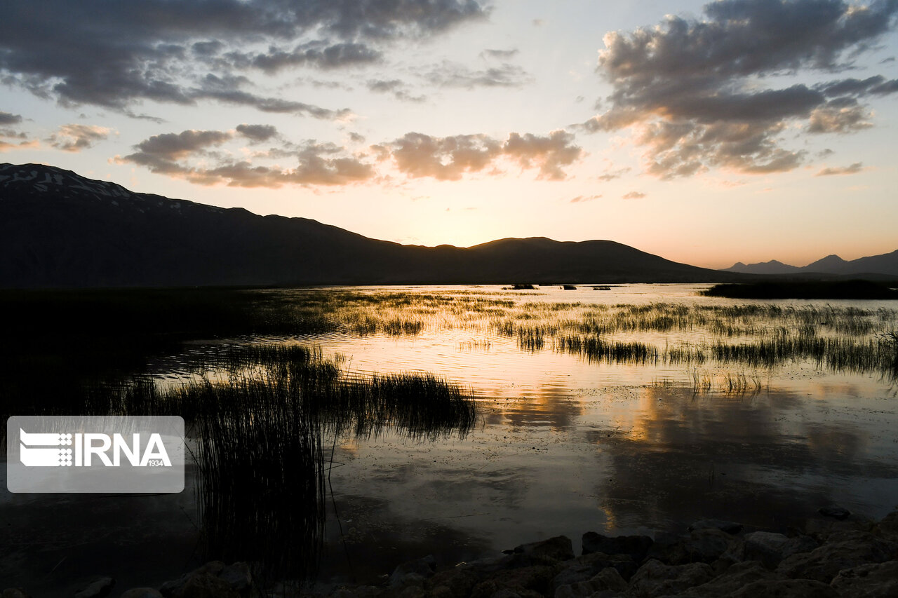 تصاویری از تالاب زیبای گندمان تصاویری از تالاب زیبای گندمان