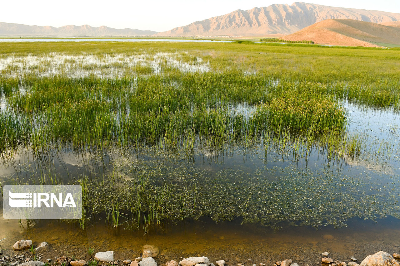 تصاویری از تالاب زیبای گندمان تصاویری از تالاب زیبای گندمان