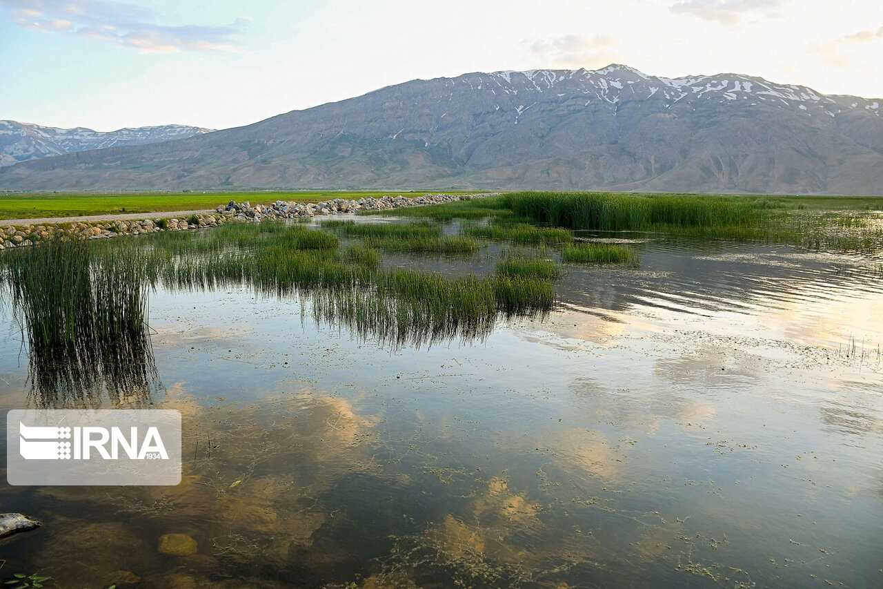 تصاویری از تالاب زیبای گندمان تصاویری از تالاب زیبای گندمان