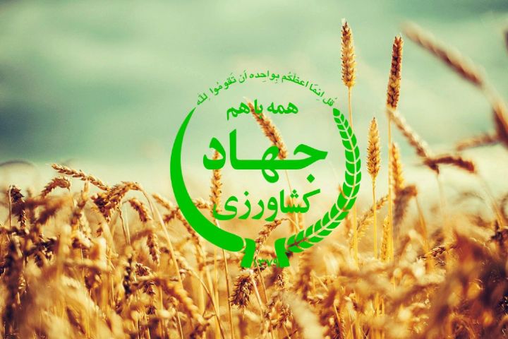 نگاهی به روند شکل گیری وزارت جهاد کشاورزی