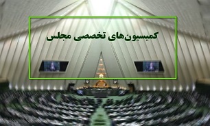 اسامی هیئت رئیسه ۱۴ کمیسیون تخصصی مجلس مشخص شد/ ۲ کمیسیون در لیست انتظار