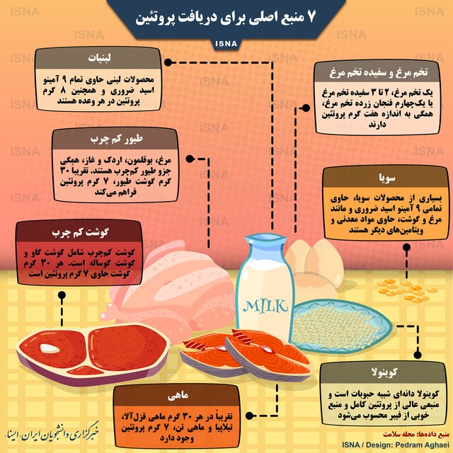 چه مواد غذایی منابع اصلی پروتئین هستند؟ +اینفوگرافی