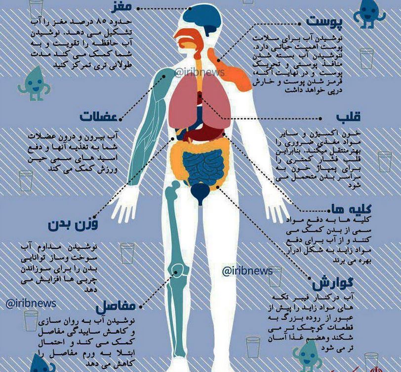 نوشیدن آب کافی چه فوایدی برای بدن دارد؟! +اینفوگرافی نوشیدن آب کافی چه فوایدی برای بدن دارد؟! +اینفوگرافی
