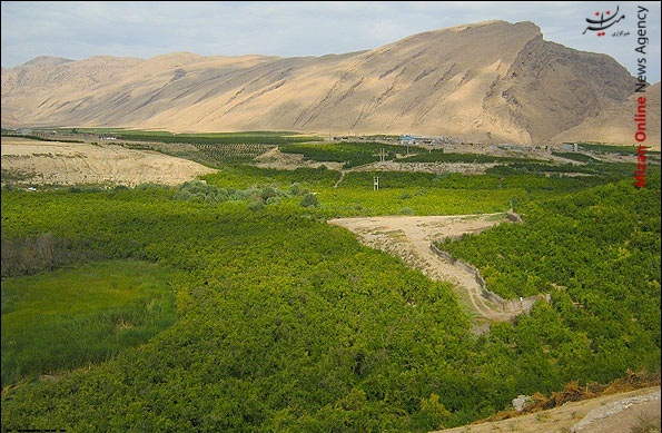 بازگشت ۹۵ هکتار از اراضی ملی به منابع طبیعی
