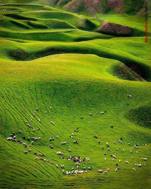 نمایی از طبیعت زیبای کلاله