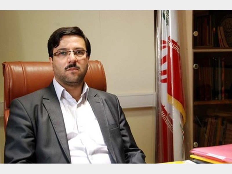 هما تنها خط هوایی مورد استفاده معلولان /نیم بها بودن بلیط هواپیما برای معلولان از دلایل استقبال نکردن شرکت‌های هواپیمایی است