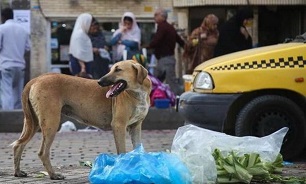 بیماری کشنده‌ای که باید جدی گرفته شود