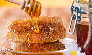 چرای بی رویه دام، بزرگترین سد تولید عسل/ افزایش عسل تقلبی در بازار موجب بیماری شده است چرای بی رویه دام، بزرگترین سد تولید عسل/ افزایش عسل تقلبی در بازار موجب بیماری شده است