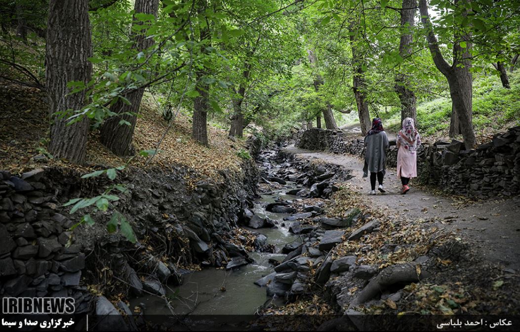 قدم به قدم در روستایی تاریخی در طرقبه +تصاویر قدم به قدم در روستایی تاریخی در طرقبه +تصاویر