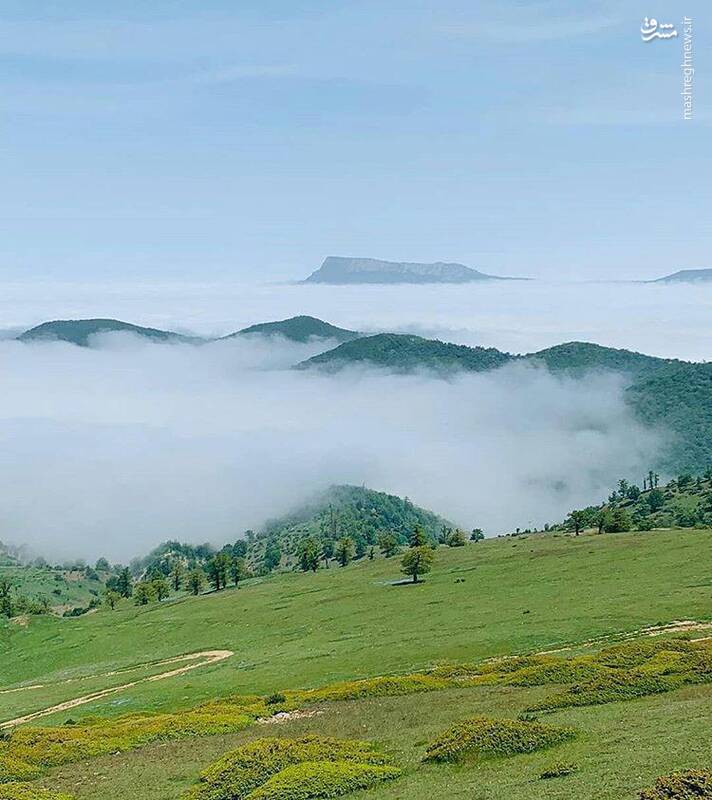 نمایی زیبا از جنگل ابر در شاهرود +عکس نمایی زیبا از جنگل ابر در شاهرود +عکس