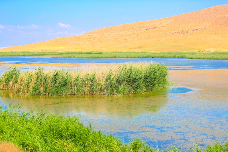 چه اقداماتی در راستای احیای دریاچه ارومیه انجام شده است؟/از پایان سال ۹۸ حتی با وجود کاهش بارندگی تراز دریاچه ارومیه کاهش نمی‌یابد