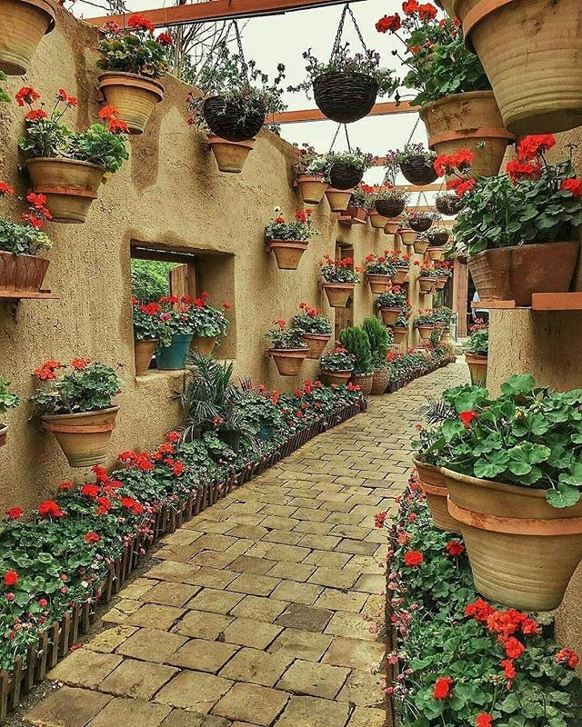 نمایی دیدنی از بهشت شمعدونی! +عکس نمایی دیدنی از بهشت شمعدونی! +عکس