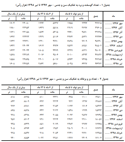 پرورش دام سبک در کشور کاهش یافت