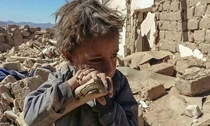 335 گودک یمنی طی یک سال گذشته کشت شده‌اند